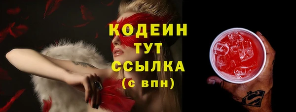 соль ск Коряжма